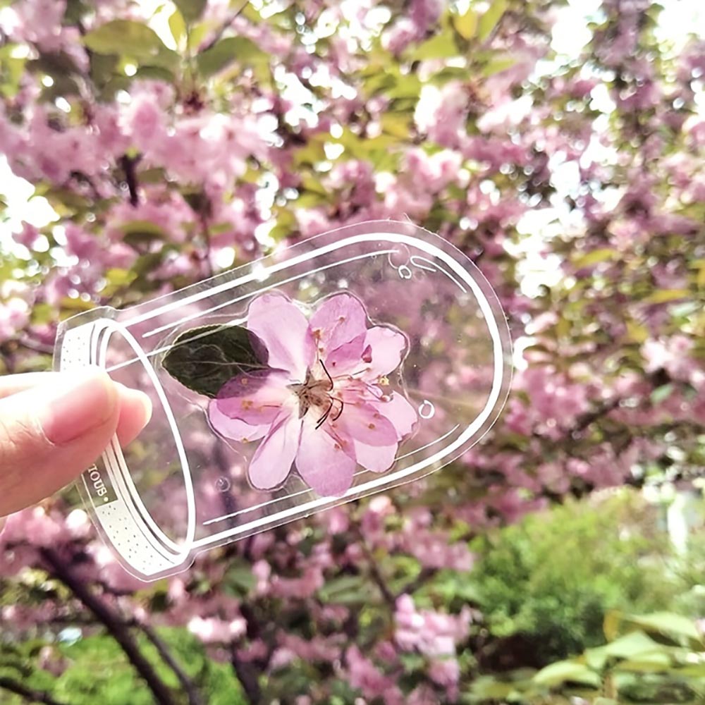 20pcs Handmade Transparent Dried Flower Bookmark_4